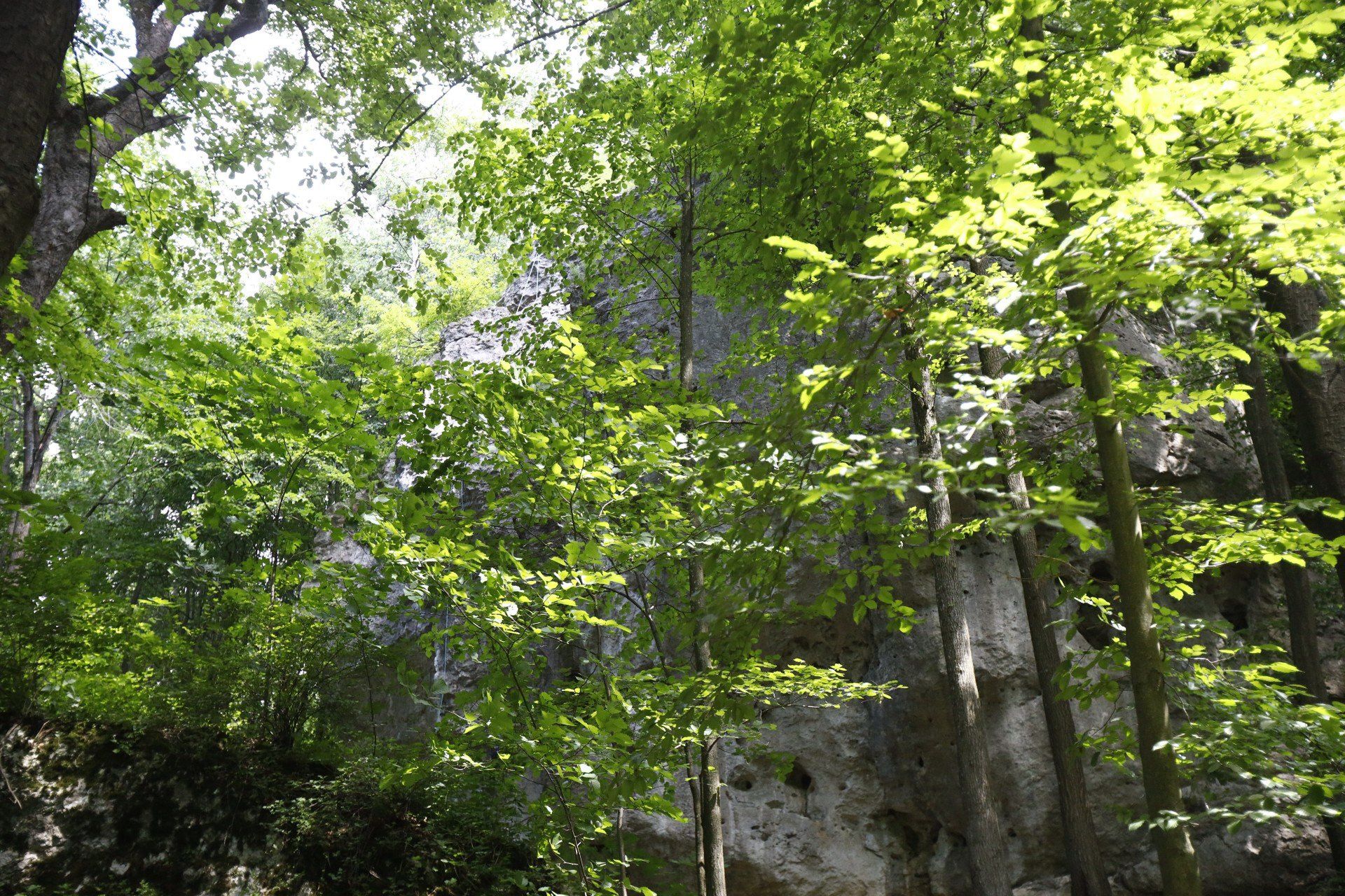 Rezerwat Parkowe