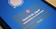 Signal na iOS z luką. Oszuści mogli łatwo manipulować