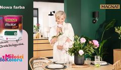 dentsu Creative wygrała przetarg na obsługę reklamową marki farb Magnat