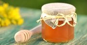 Miód nawłociowy - właściwości, kalorie i wartości odżywcze. Gdzie go kupić i jak wykorzystać?