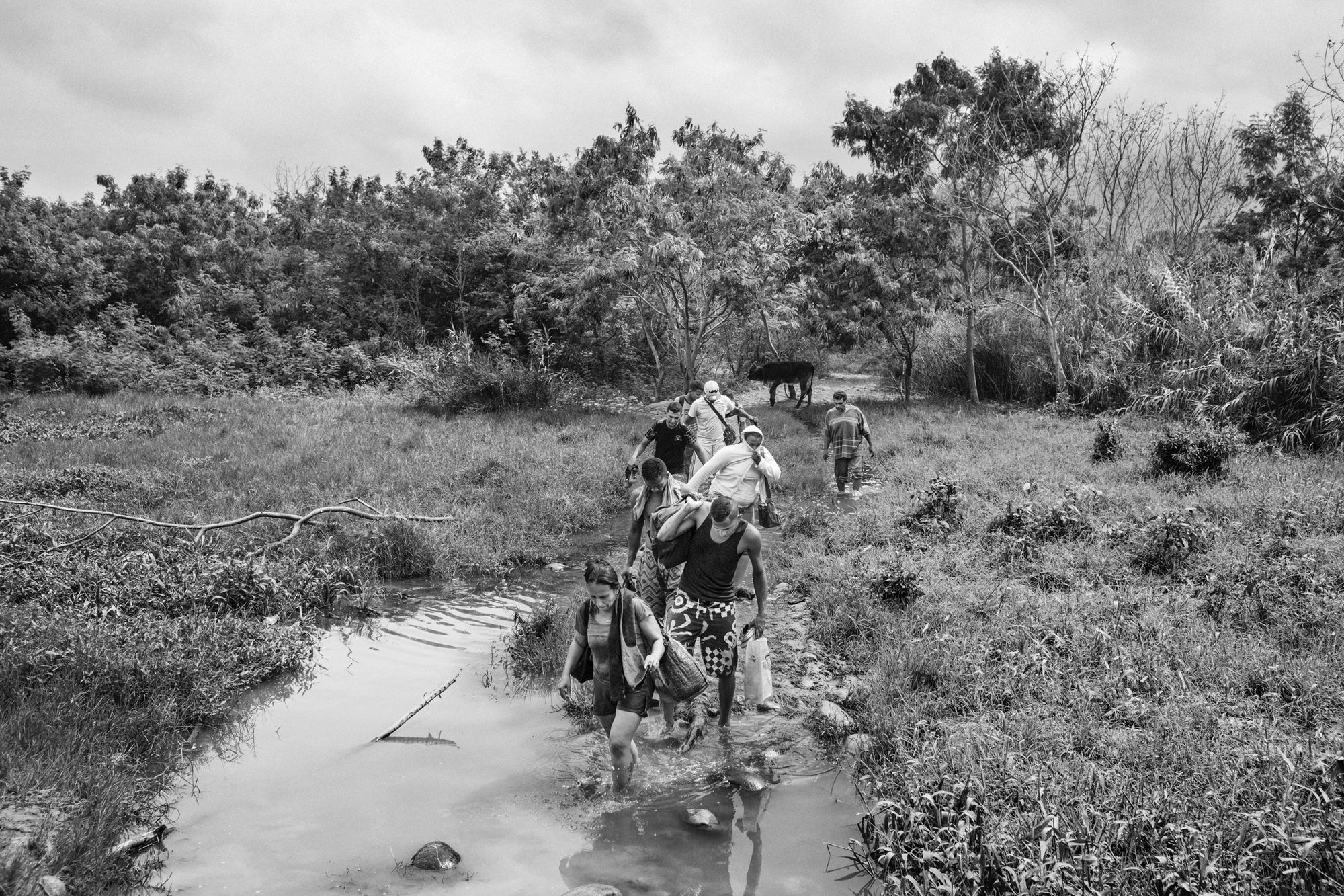 Znamy nazwiska nominowanych do World Press Photo 2020. Jest wśród nich Tomek Kaczor 28