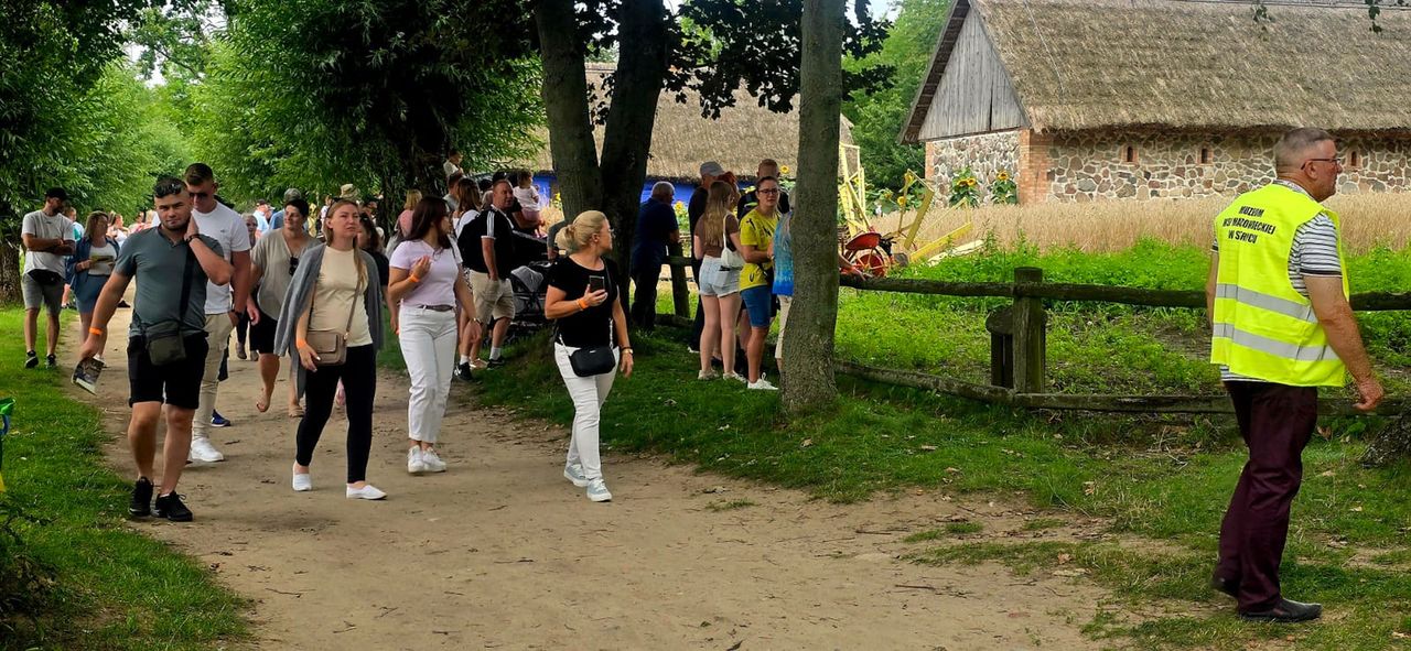 Żniwa 