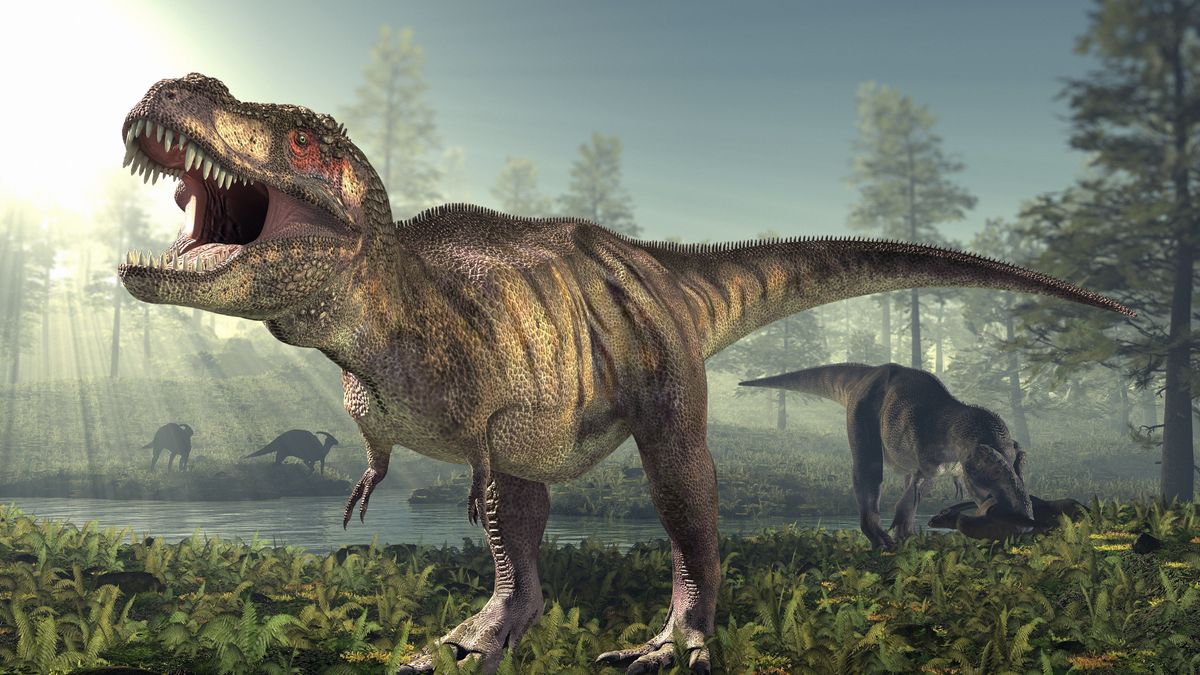 Skąd krótkie łapy u tyrannosaurusa rexa