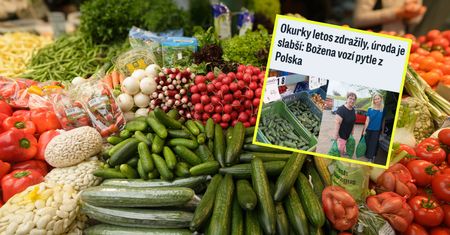 "Polacy znów są tańsi". Czesi rzucili się na ten produkt. Wywożą wielkie torby!