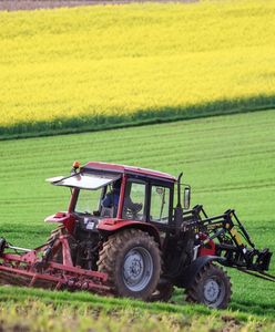 Emerytura rolnicza. Oto ile wynosi po 20 i 25 latach