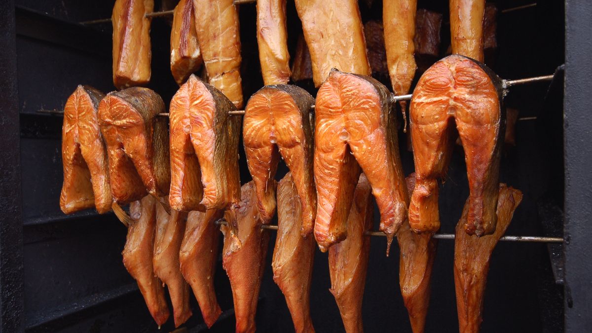 Halibut kumuluje rtęć