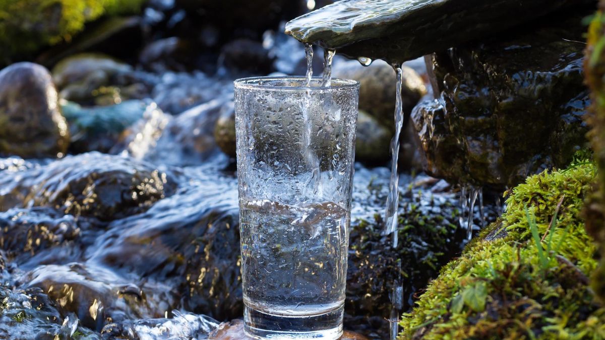 Z głębin do butelki. Jaką drogę przebywa woda źródlana, zanim trafi na nasze stoły?