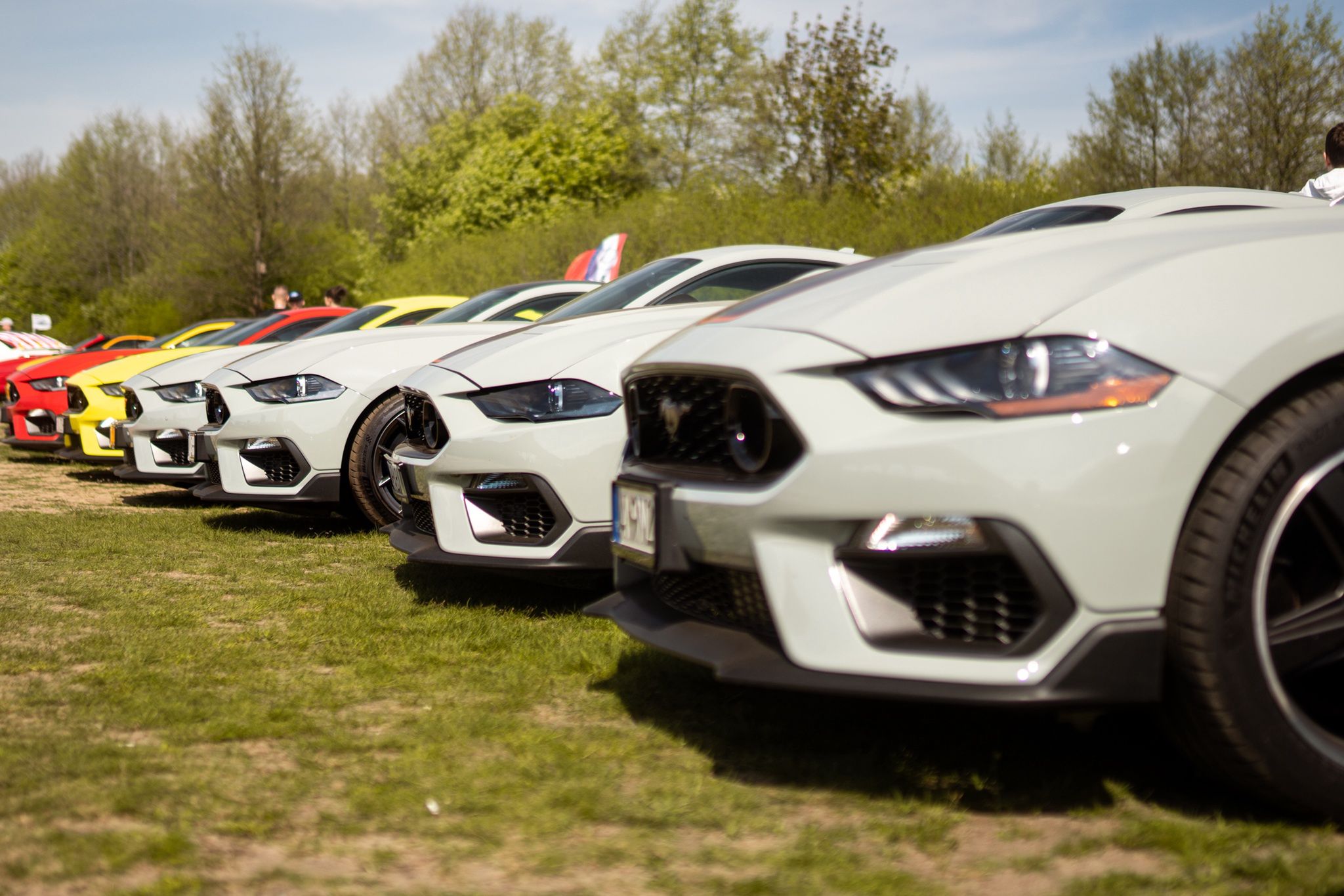 Zlot Mustang Klub Polska 2024