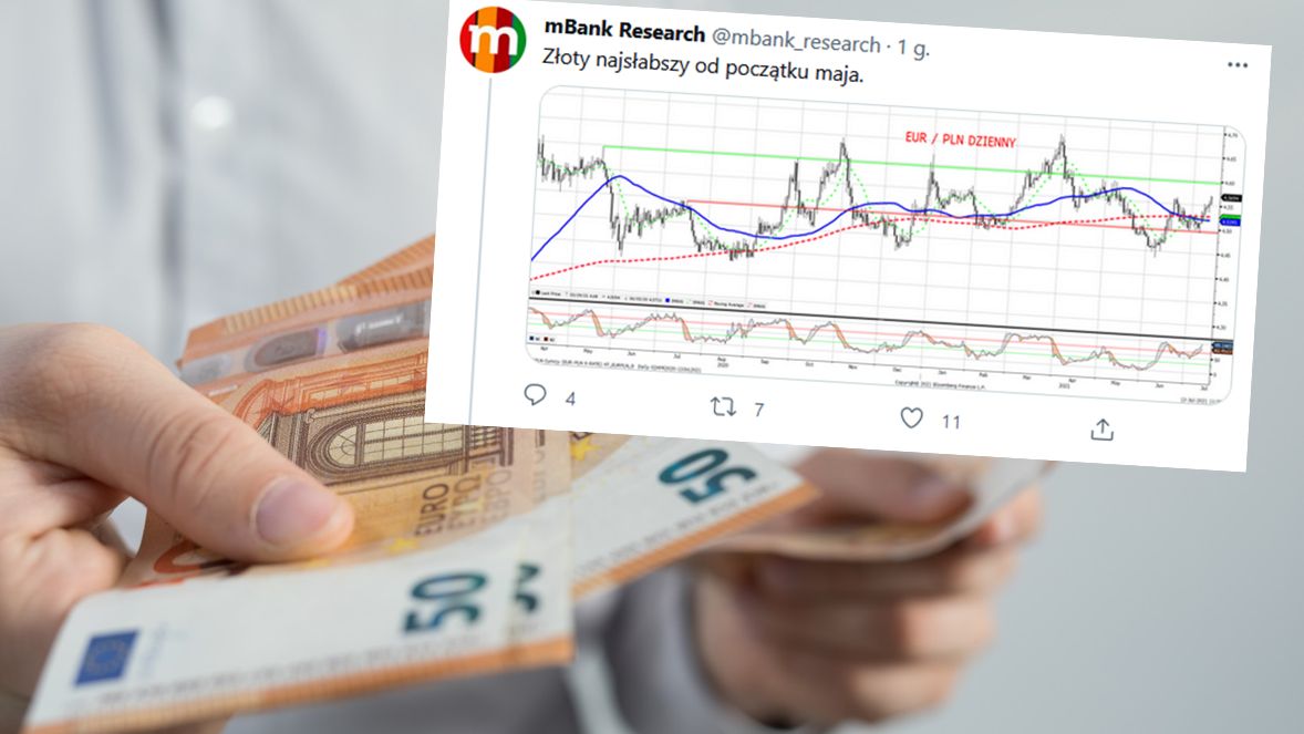 Kursy walut. Co z euro?