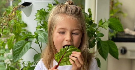 Dziewczynka, która nigdy nie jadła cukru ma 6 lat. Jak teraz wygląda jej dieta?