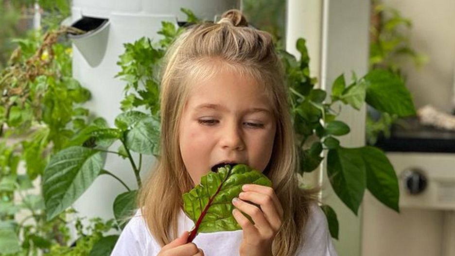 Dziewczynka, która nigdy nie jadła cukru ma 6 lat. Jak teraz wygląda jej dieta?