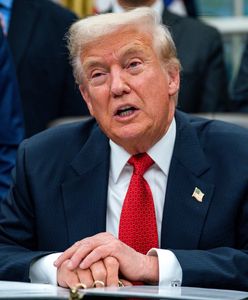 Wyłapują imigrantów. Akcja służb USA