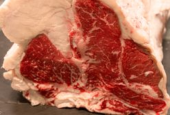 Nielegalna ubojnia w Nowym Targu. Zabijano zwierzęta w zakazany sposób