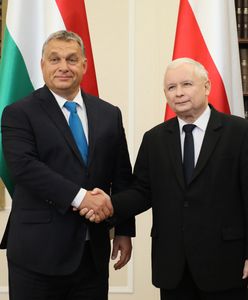 Niemieckie media o autorytarnym zagrożeniu ze strony PiS i Fidesz