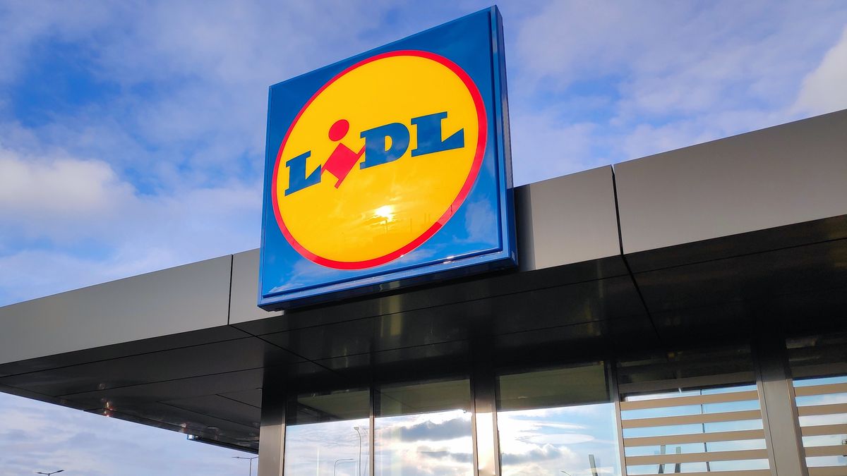 Promocje w Lidlu