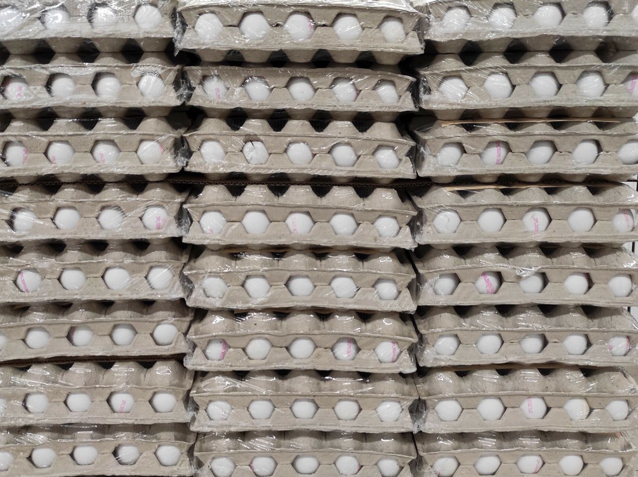 Are eggs healthy?