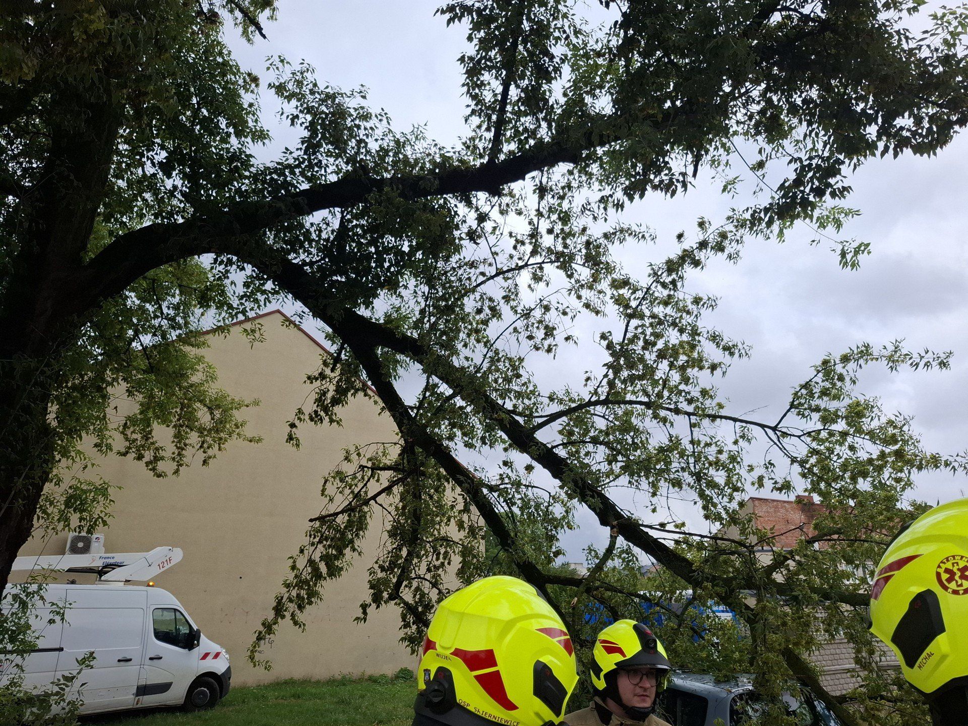 Konar przygniótł samochód na parkingu na tyłach Ratusza