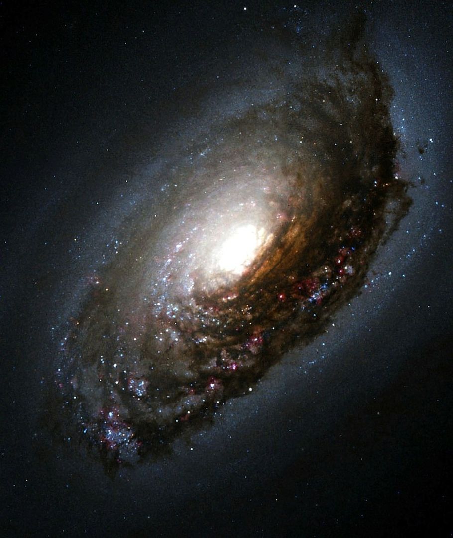 (fot. Reuters/NASA)