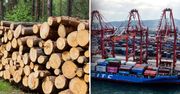 Eksport polskiego drewna do Chin. Rząd podał dane