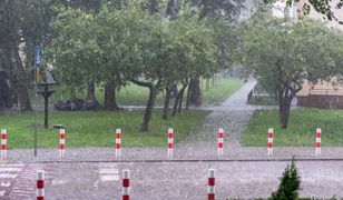 Zamiast lata wczesna jesień. W Gdańsku chłodno, mokro i wietrznie.