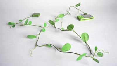 Kable też mogą być piękne ;-) 1