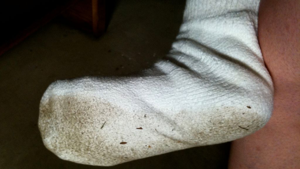 Do czego nauce przydają się śmierdzące skarpety? 1