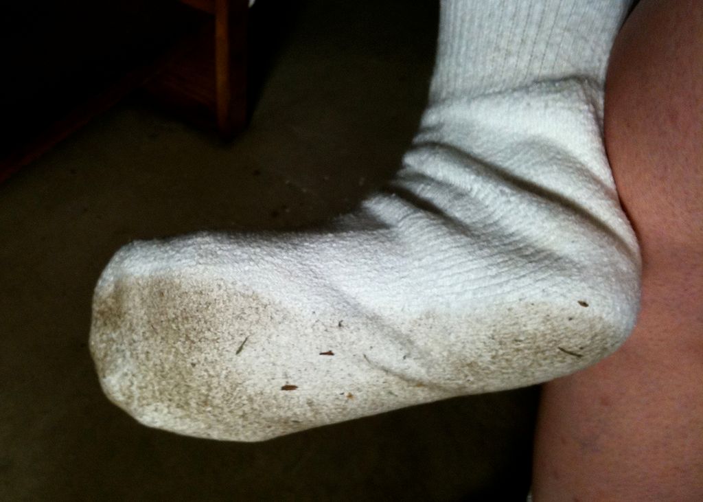 Do czego nauce przydają się śmierdzące skarpety? 1