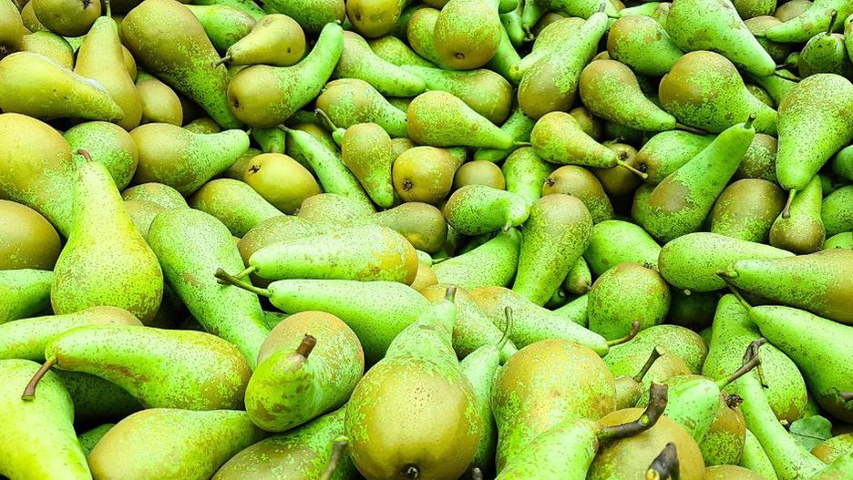 Zdrowe owoce, ale nie dla wszystkich. Dzieciom z tymi chorobami lepiej nie podawać gruszek