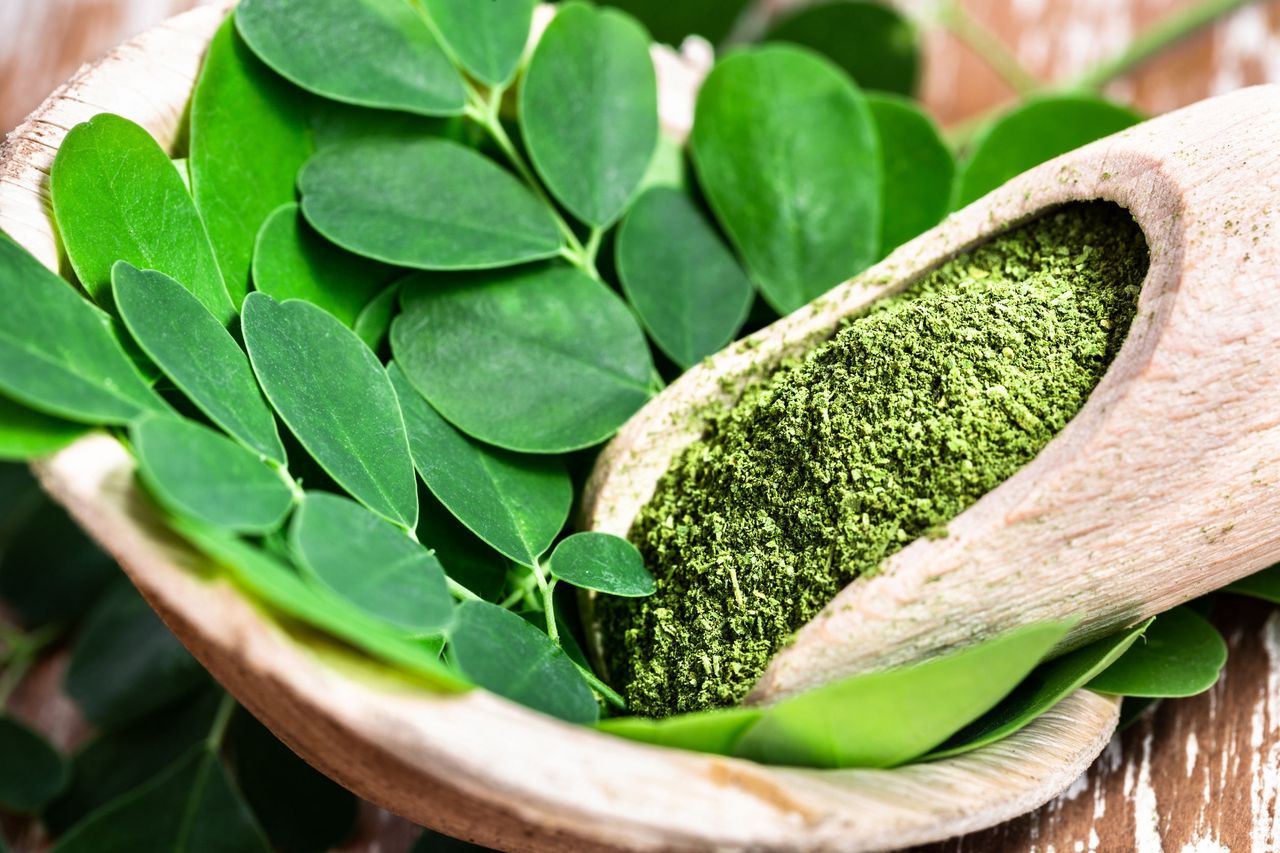 Moringa – z czym to jeść