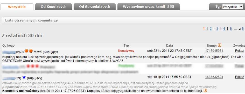 Wielkość liter ma znaczenie! Jak sprzedawcy na Allegro wprowadzają klientów w błąd? 3
