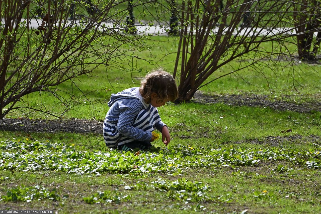 Dziewczynka błąkała się przy drodze. Jej matka była pijana 