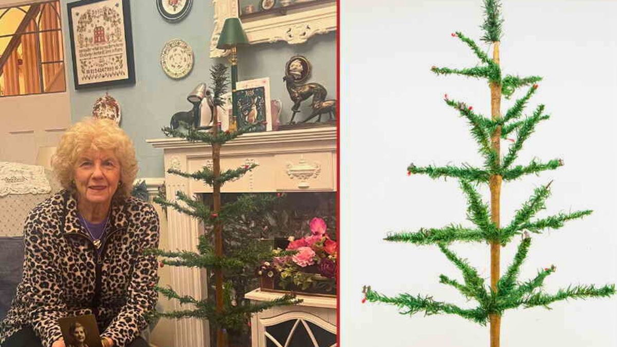 Ta choinka kosztuje krocie