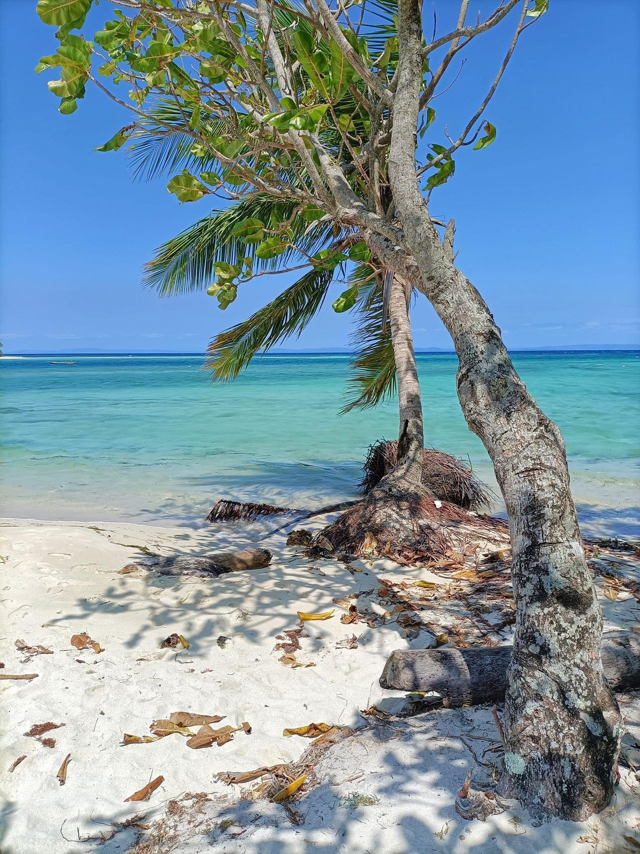 Nie bez powodu Madagaskar nazywany jest rajską wyspą