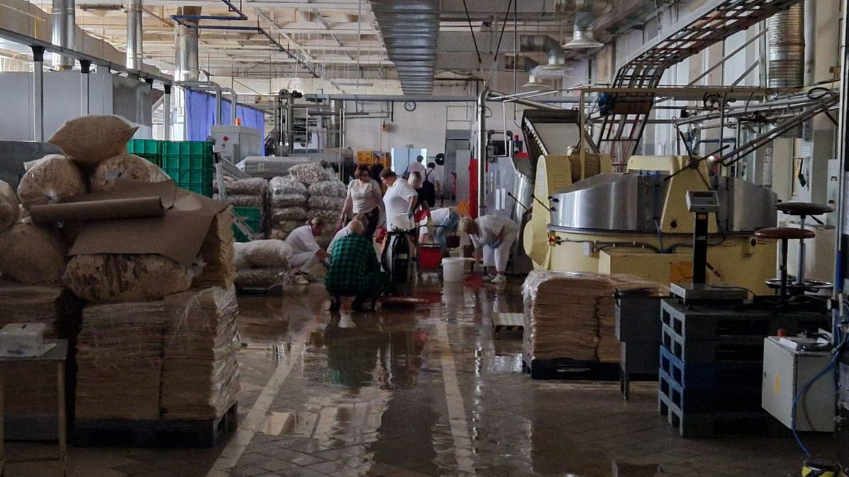 Polska rusza na pomoc Cukrom Nyskim 