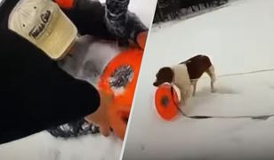 65-letni Amerykanin był w śmiertelnym zagrożeniu. Uratowała go suczka Ruby