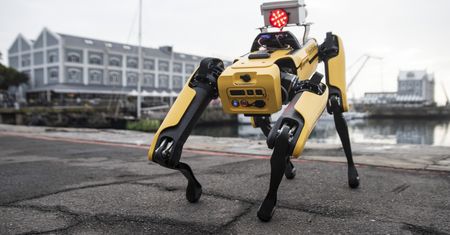 Robotyczny pies od Boston Dynamics trafi do Ukrainy. Będzie wykonywać niebezpieczne misje