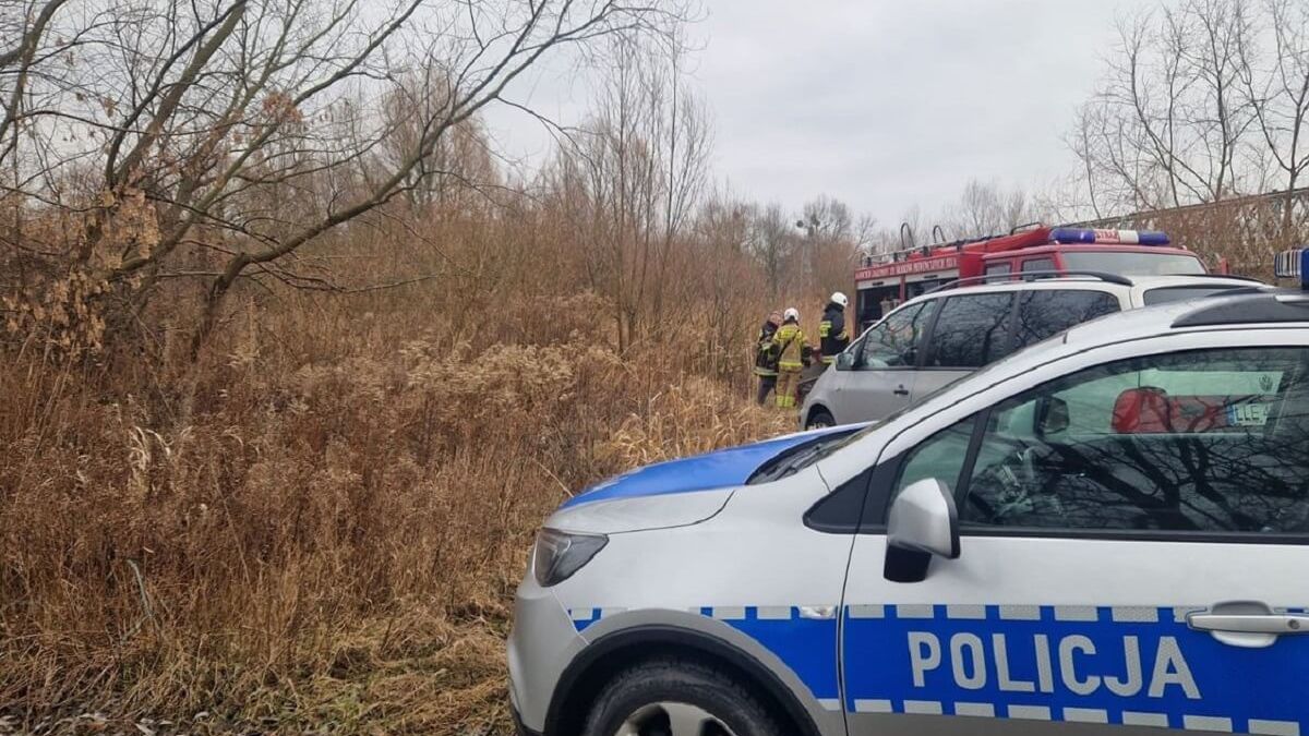 radiowóz, wóz strażacki, łąki