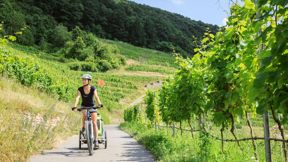 Przyczepka rowerowa to idealne rozwiązanie na wspólne wycieczki