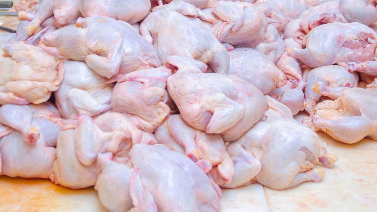 Uważaj na te części kurczaka. Mogą zawierać pasożyty