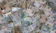 Narodowy Fundusz Ochrony Środowiska i Gospodarki Wodnej chce przeznaczyć na dotacje 5 mld zł