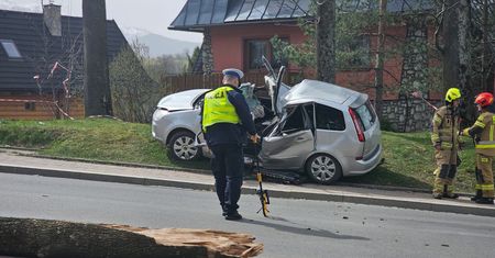 Tragiczne skutki silnych porywów halnego w Zakopanem