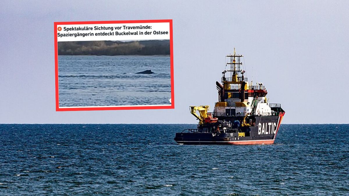 Niespodziewane spotkanie na Bałtyku