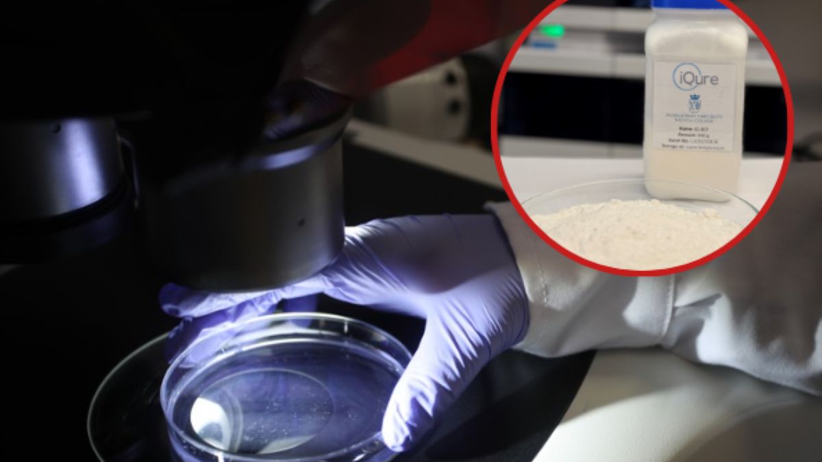 Ogromny sukces polskich naukowców
