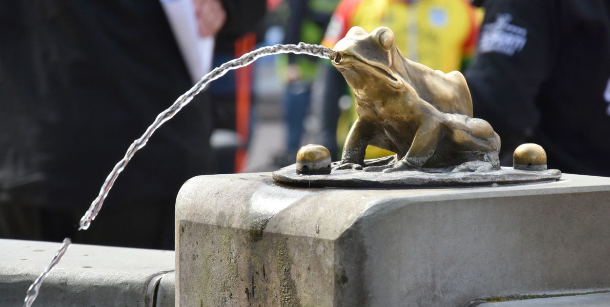 Toruń: Moc atrakcji w jeden dzień. Od Disneya po koncerty i sport