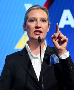 Bezprecedensowa decyzja kontrwywiadu Niemiec ws. AfD