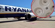Pasażer wspomina rejs Ryanairem. "Każdy lot to przekleństwo"