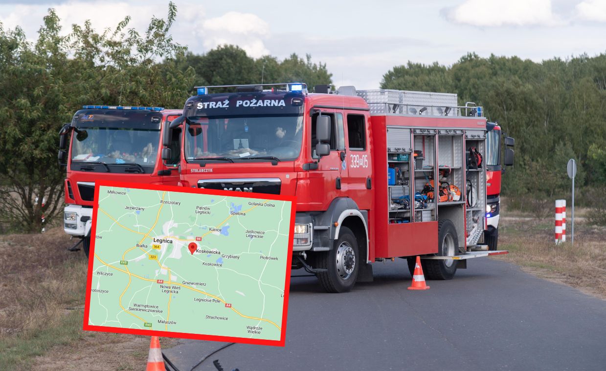 Tragedia w Legnicy. Mężczyzna runął na ziemię