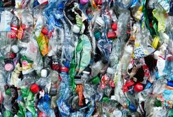 Kaucja za plastikową butelkę stanie się faktem