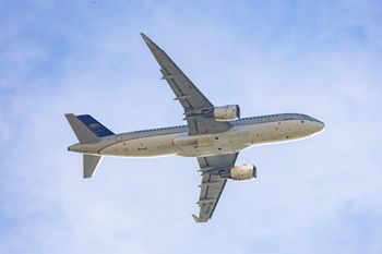 Ewakuowali 45 psów i kotów z Bliskiego Wschodu. "Zwierzęta nie są bagażem"