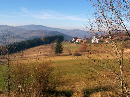 Obraz